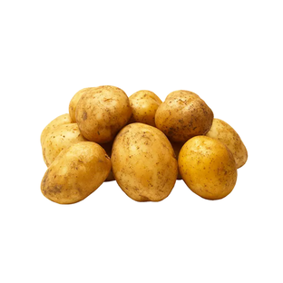 Pomme de terre primeur bio origine France