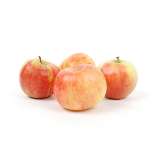 Pommes akane bio origine France