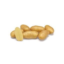 Pommes de Terre Ditta Bio Origine France