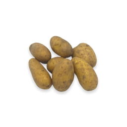 Pommes de Terre Grenaille Bio Origine France