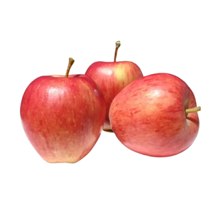 Pommes Gala Bio Origine France