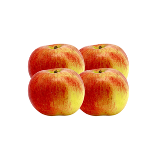 Pommes idared bio origine France