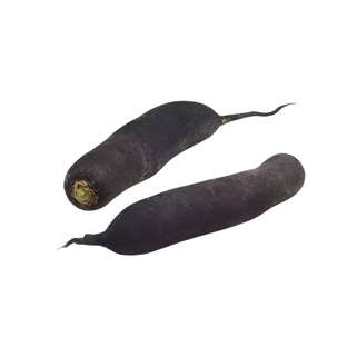Radis noir bio origine France