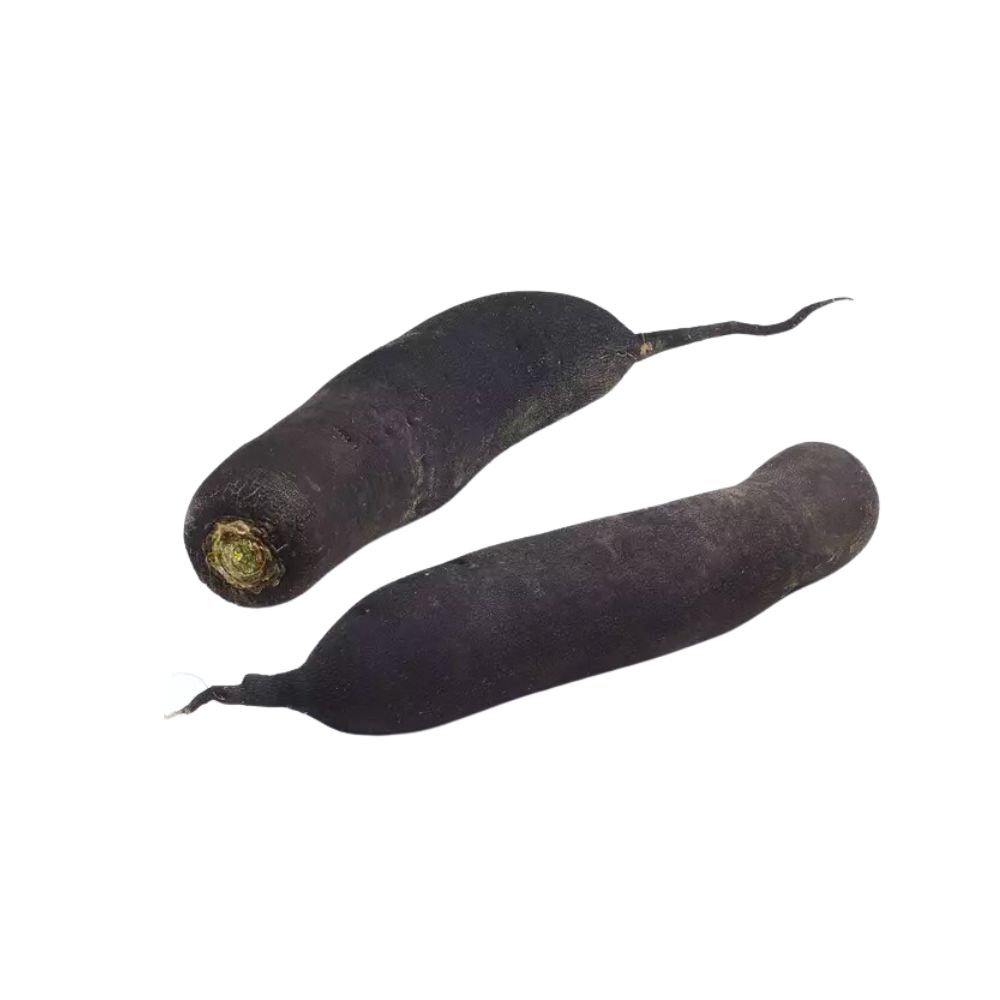Radis noir bio origine France