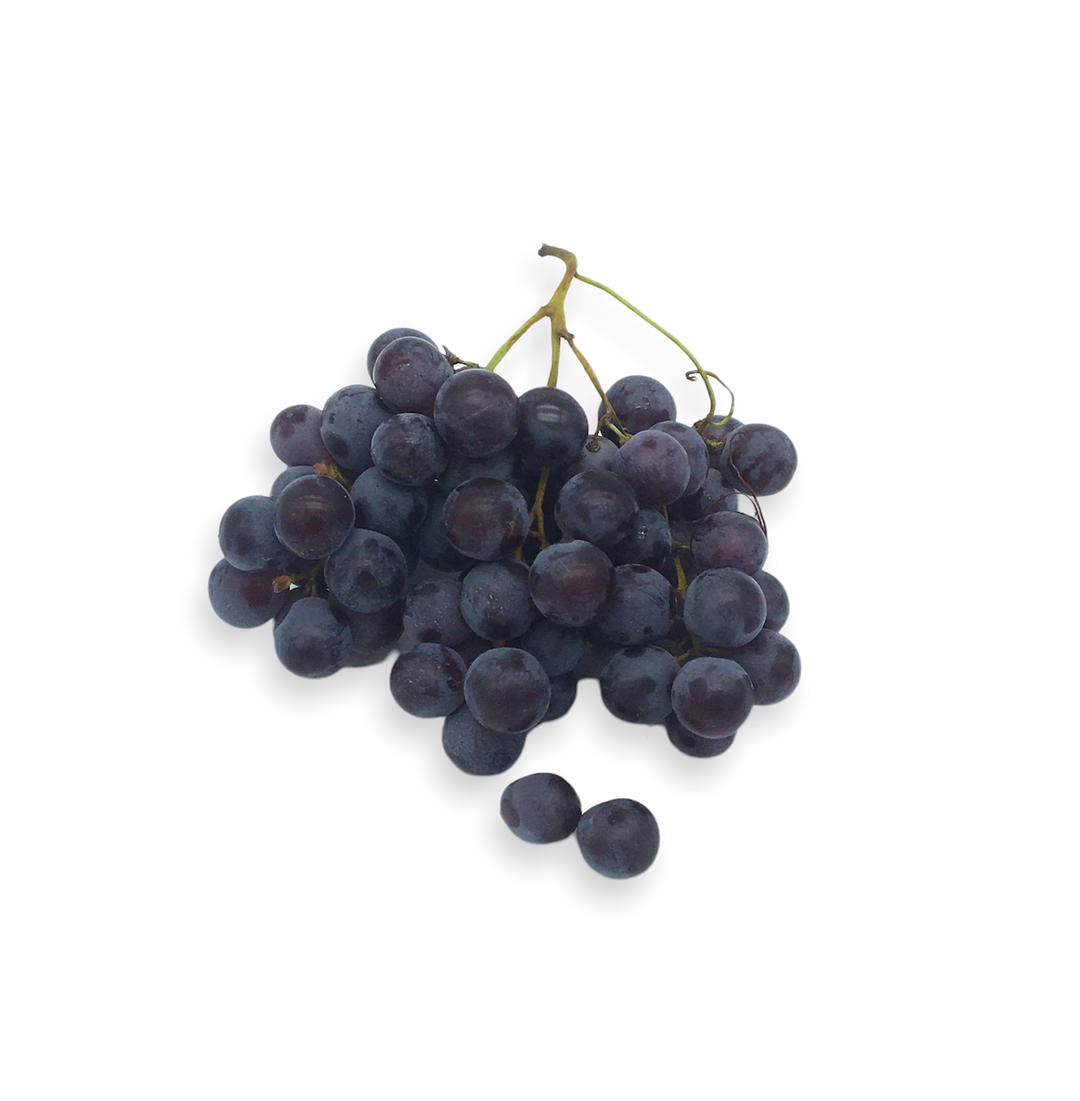 Raisin Noir Muscat Bio Origine France