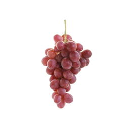 Raisins Rouges Bio Origine Italie