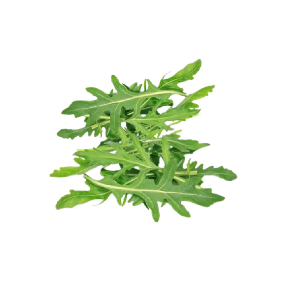 Roquette bio origine France