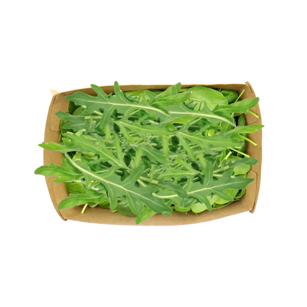 Roquette bio origine France - 125g