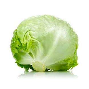 Salade iceberg bio origine France