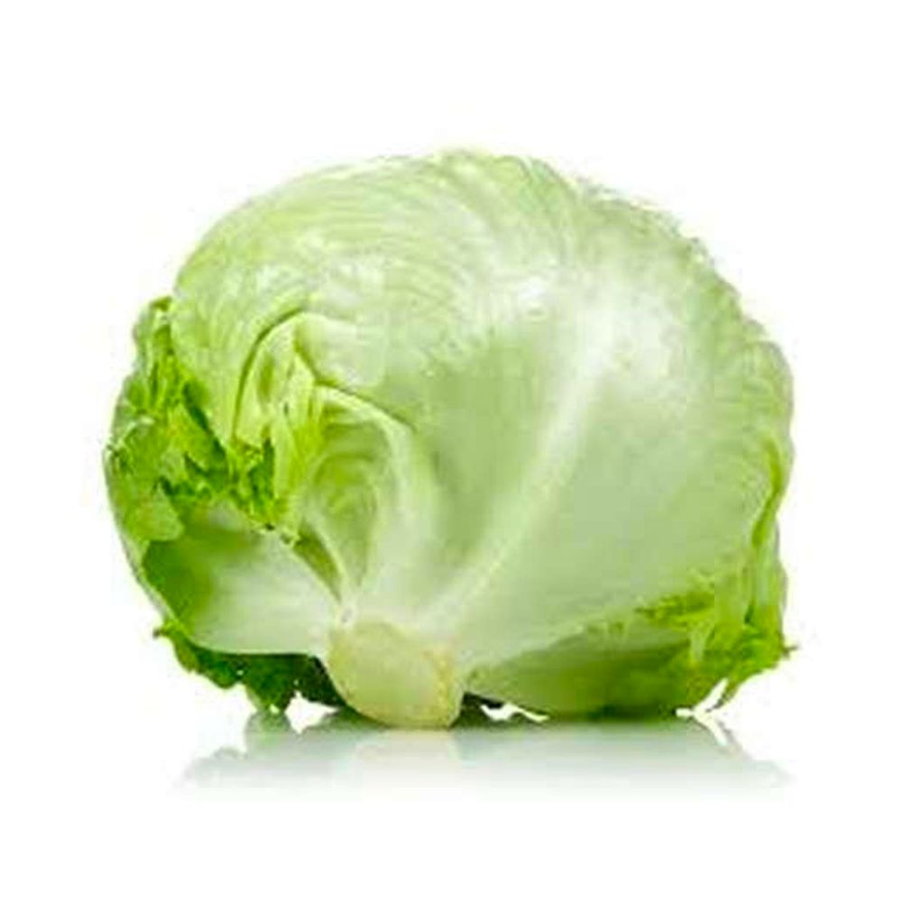 Salade iceberg bio origine France