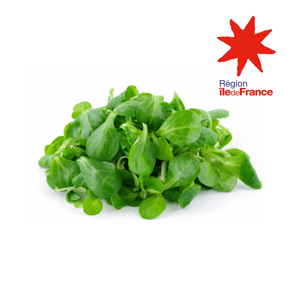 Salade mâche bio origine île de France