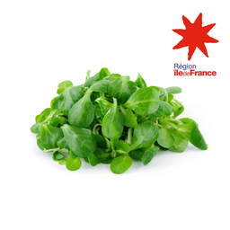 Salade mâche bio origine île de France