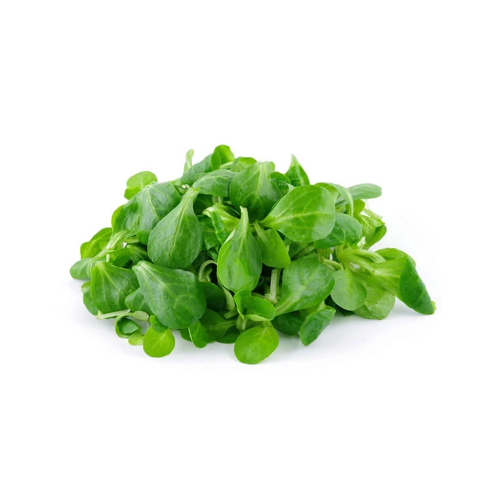 Salade mâche bio origine France