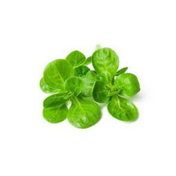 Salade mâche bio origine France (ne pas publier)
