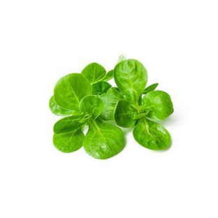 Salade mâche bio origine France
