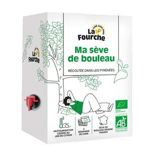 Sève de bouleau des Pyrénées bio