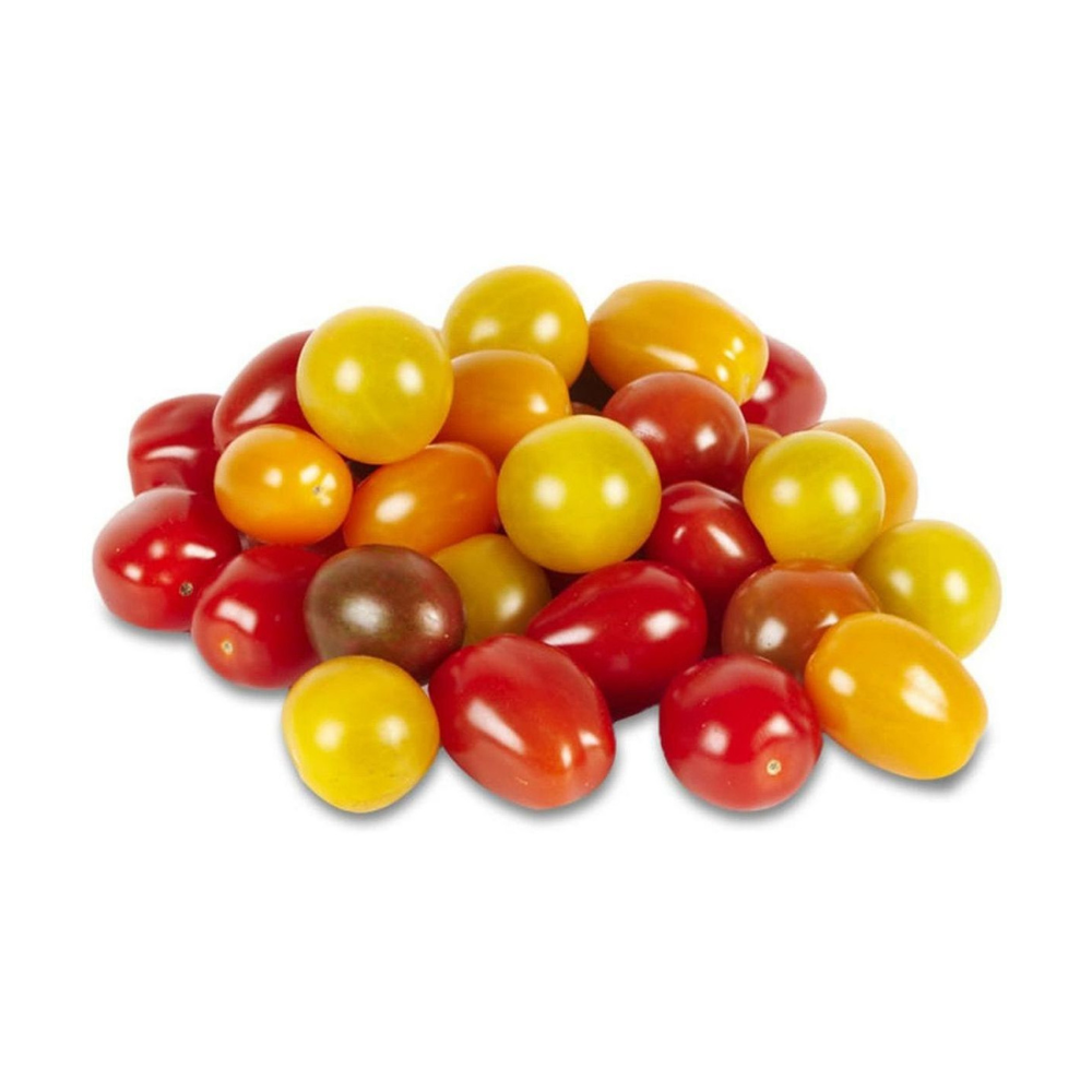 Tomates cerises multicolores bio origine France