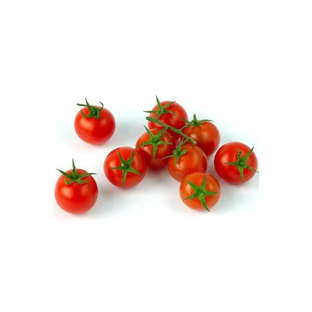 Tomates Cocktail Bio Origine France