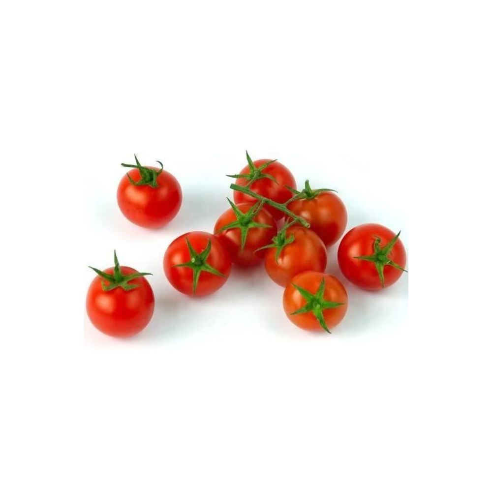 Tomates Cocktail Bio Origine France