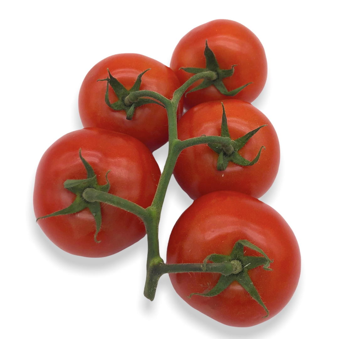 Tomates grappe bio origine Italie