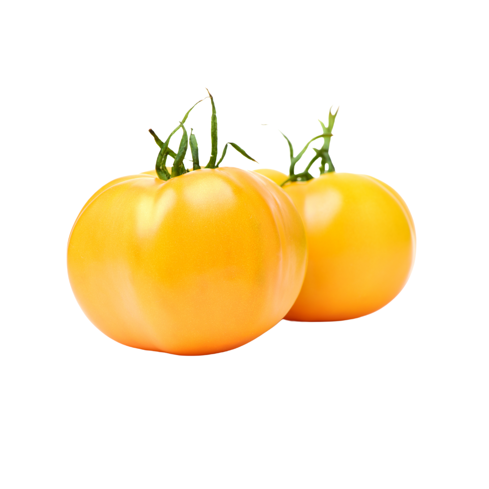 Tomates jaunes bio origine France