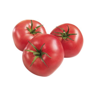 Tomates Rondes Bio Origine France