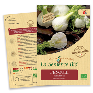 Graines bio fenouil romanesco