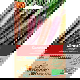 Graines bio carottes en mélange