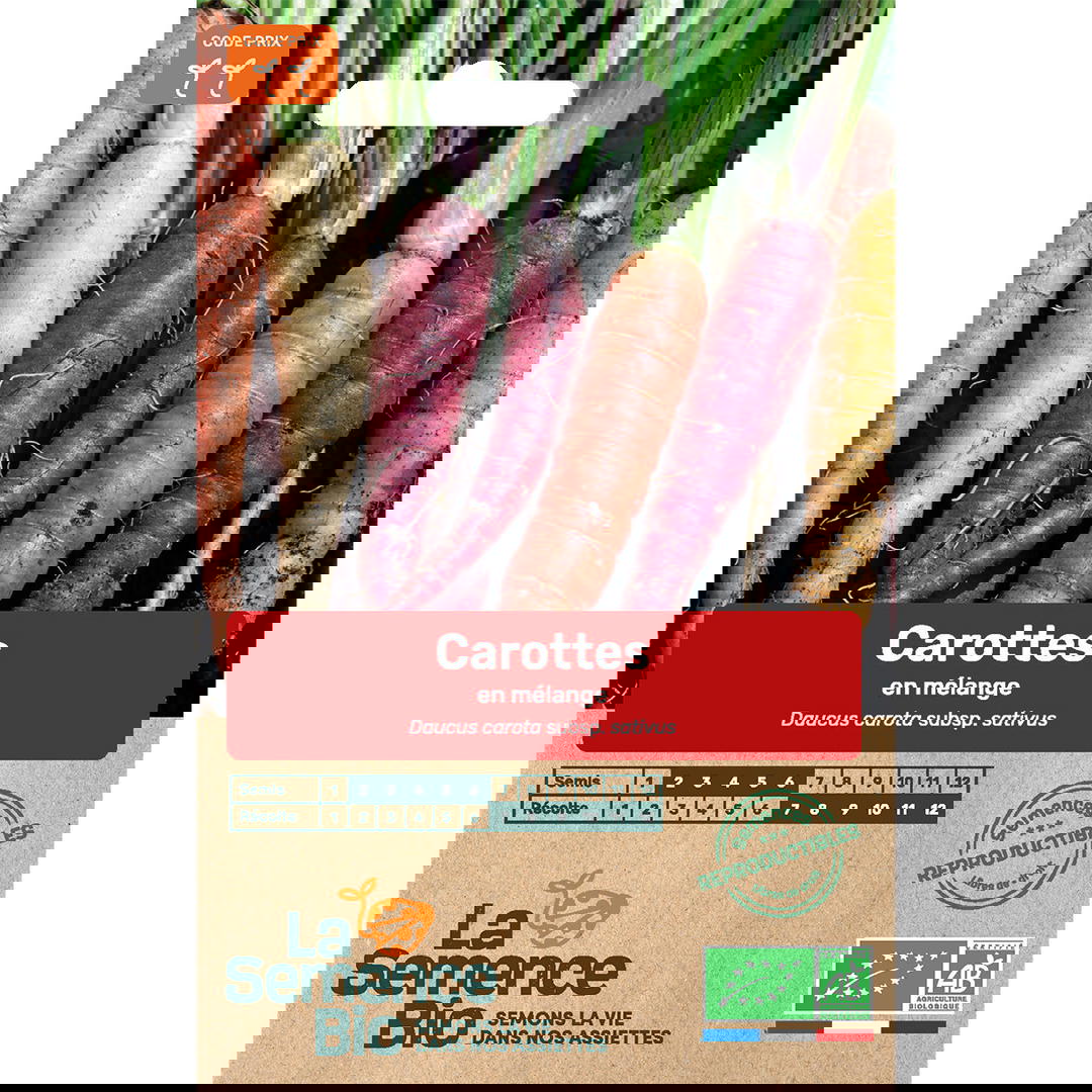Graines bio carottes en mélange