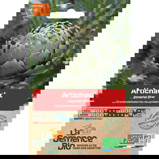 Graines bio de artichaut impérial star