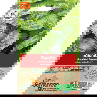 Graines Bio de Basilic Genovese Type Grand Vert