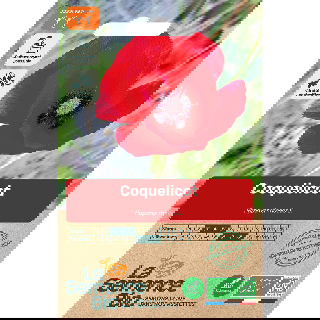 Graines Bio de Coquelicot Des Champs