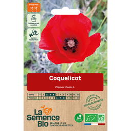 Graines Bio de Coquelicot Des Champs