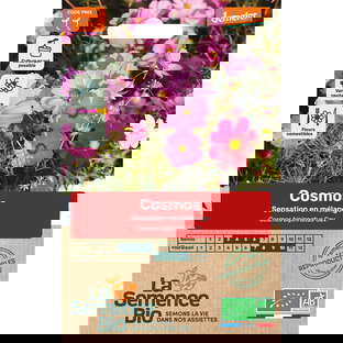 Graines bio de Cosmos sensation en mélange