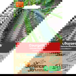 Graines bio de courgette verte des maraîchers