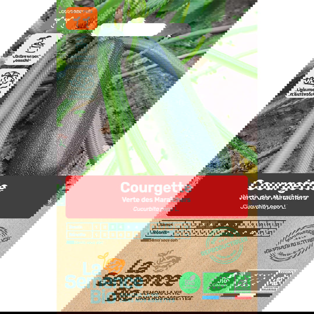 Graines bio de courgette verte des maraîchers