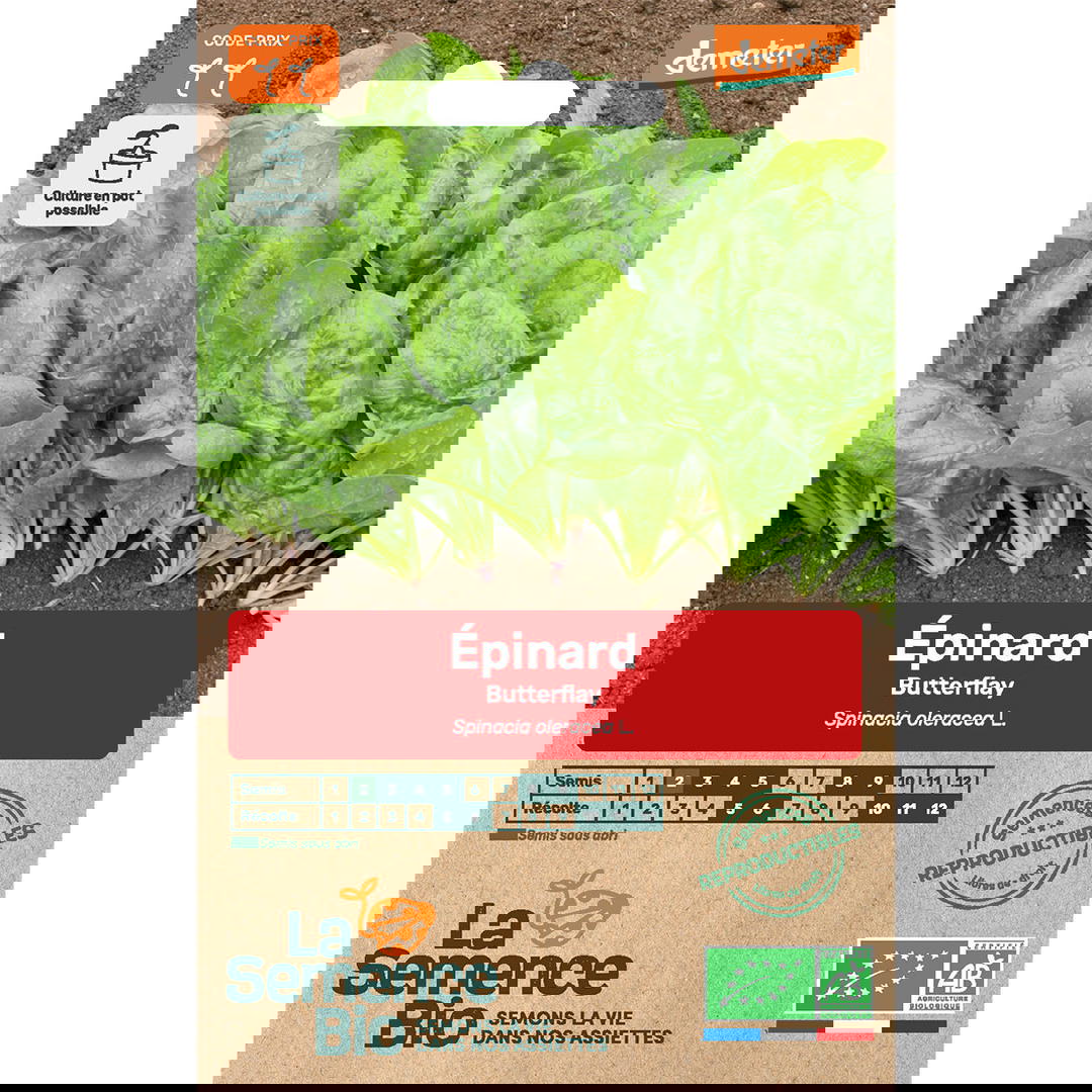 Graines Bio d'Epinard Butterflay