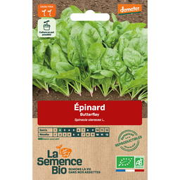 Graines Bio d'Epinard Butterflay