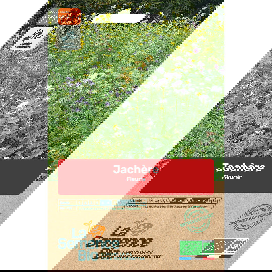 Graines Bio de Jachère Fleurie
