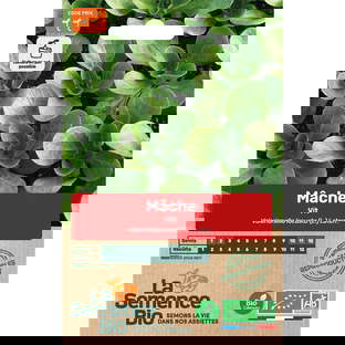 Graines bio de mâche vit