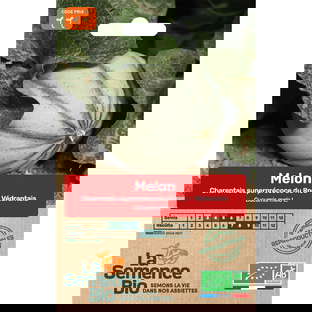 Graines bio de melon charentais précoce du roc