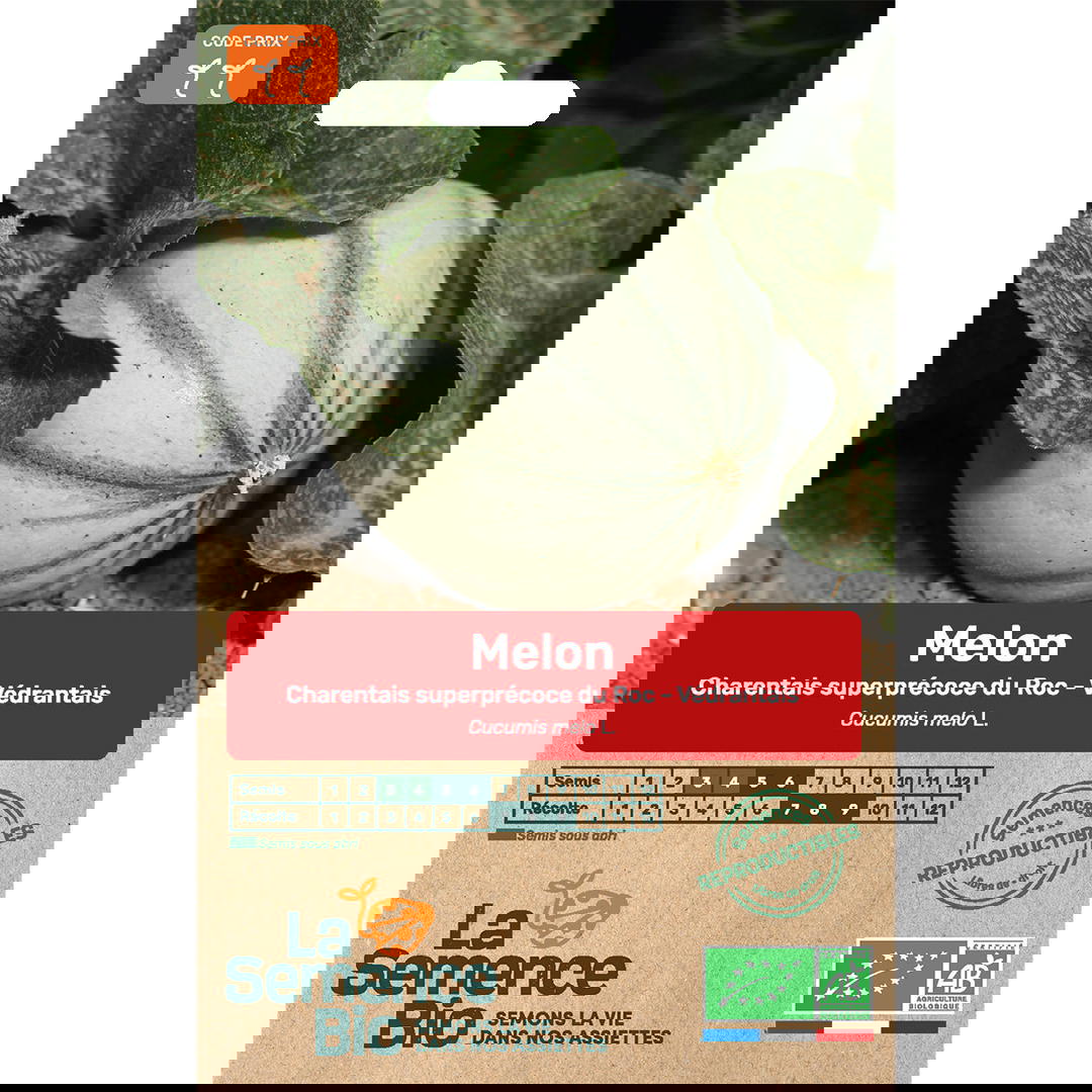 Graines bio de melon charentais précoce du roc