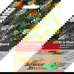 Graines bio d'œillet d'inde tagete légion d'honneur