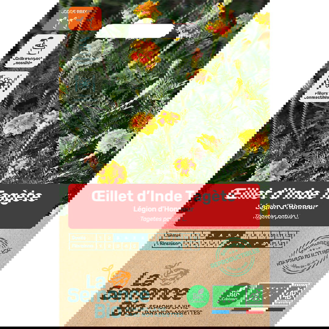 Graines bio d'œillet d'inde tagete légion d'honneur