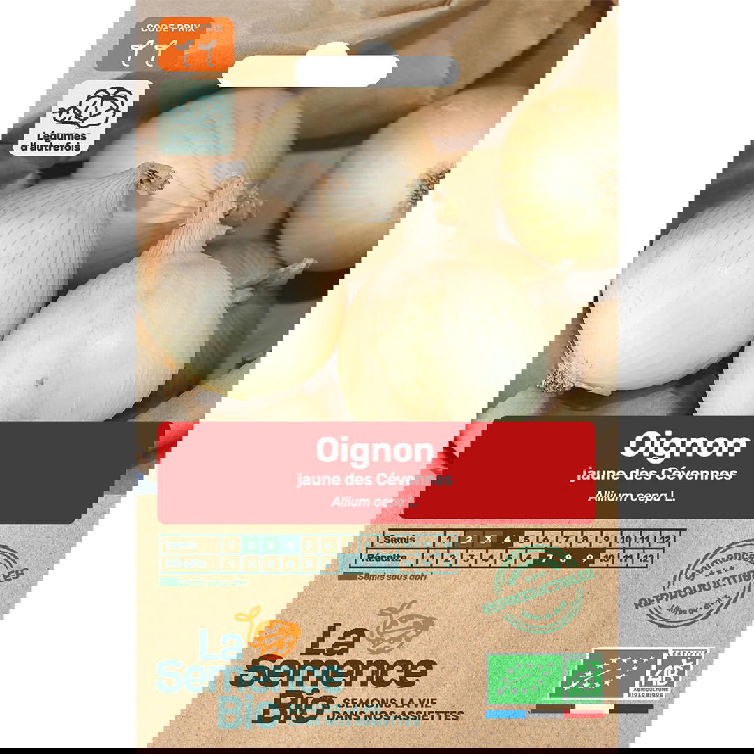 Graines Bio d'Oignon Jaune Des Cévennes