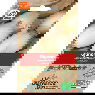 Graines Bio d'Oignon Jaune Des Cévennes