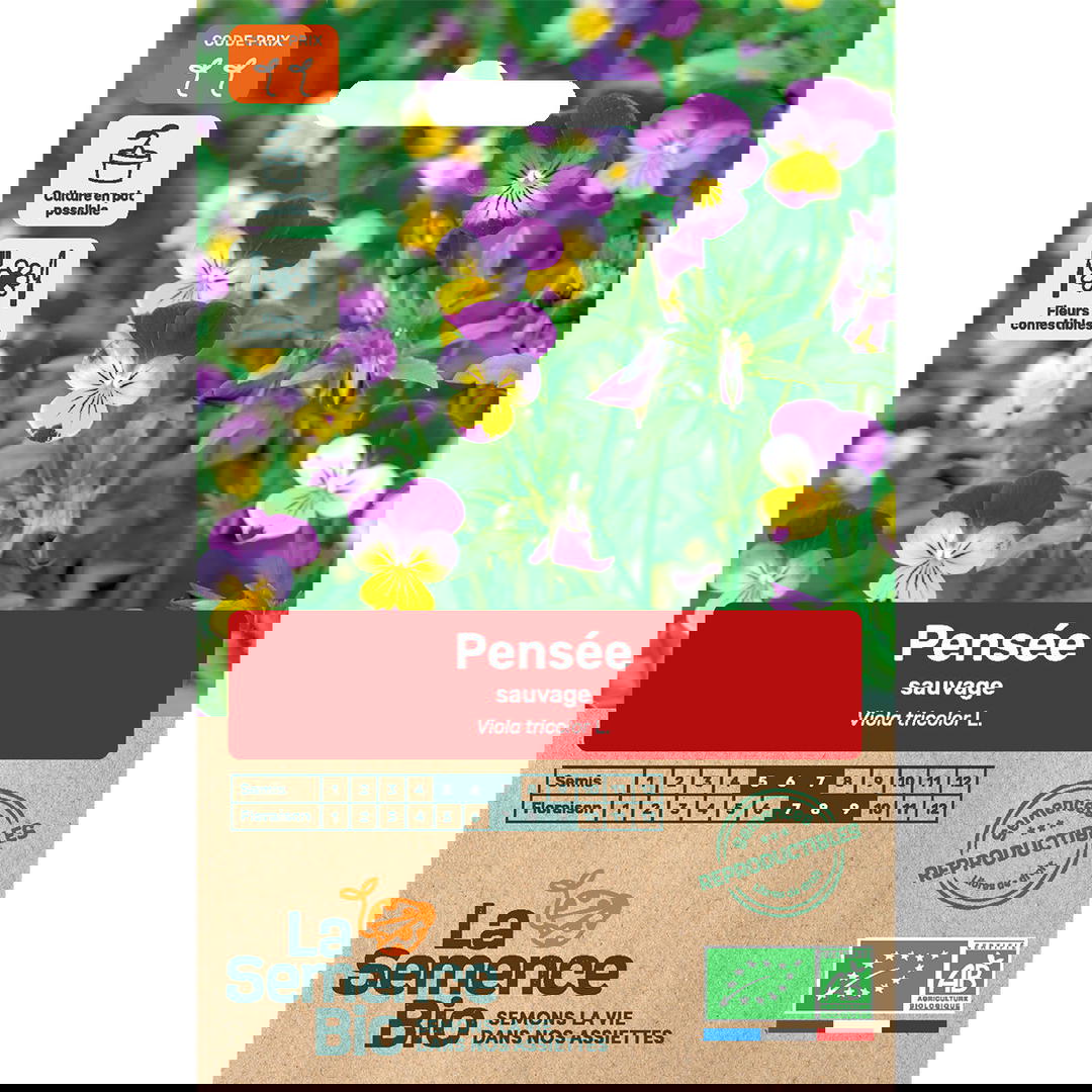 Graines Bio de Pensée Sauvage