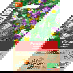 Graines Bio de Pensée Sauvage