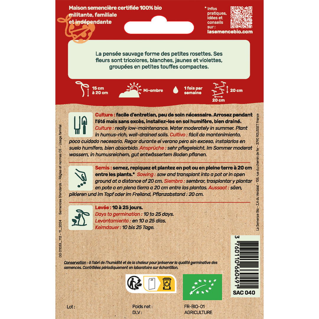 Graines Bio de Pensée Sauvage