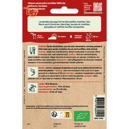 Graines Bio de Pensée Sauvage